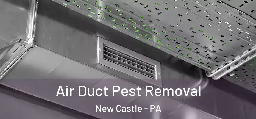  Air Duct Pest Removal New Castle - PA