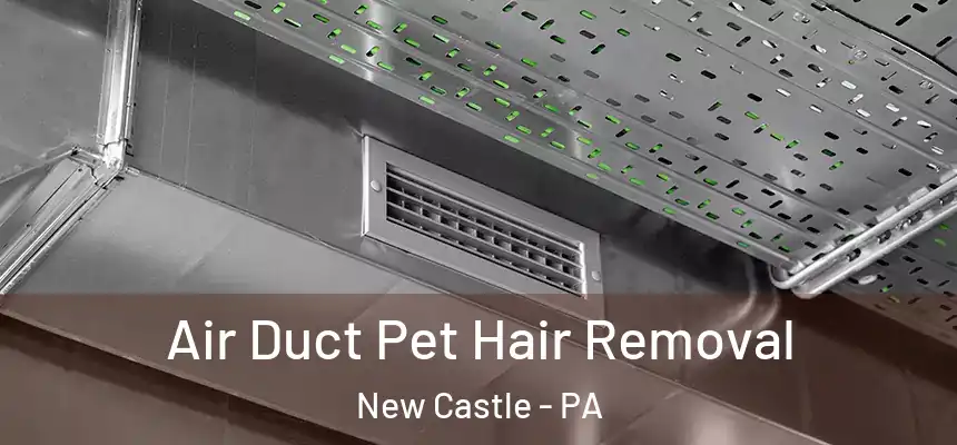  Air Duct Pet Hair Removal New Castle - PA