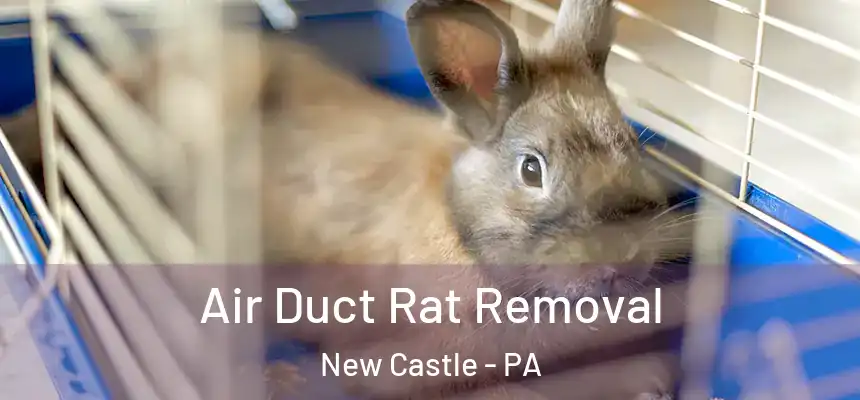  Air Duct Rat Removal New Castle - PA