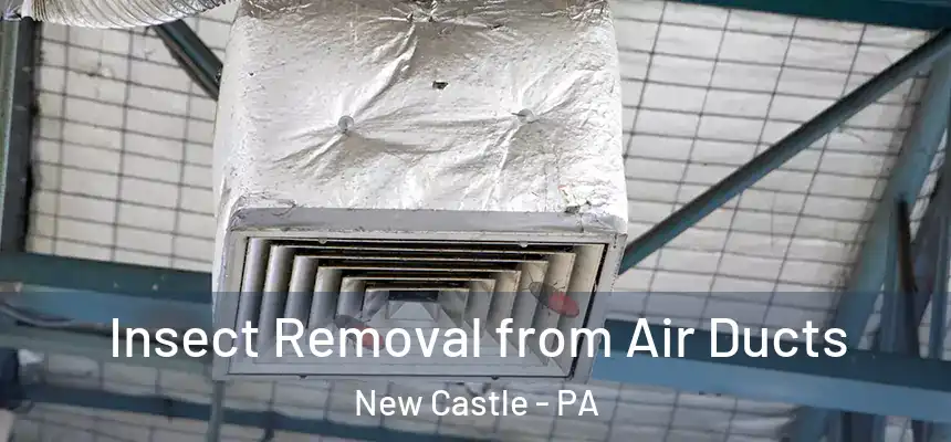  Insect Removal from Air Ducts New Castle - PA