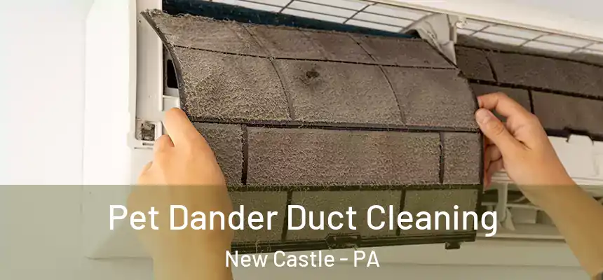  Pet Dander Duct Cleaning New Castle - PA