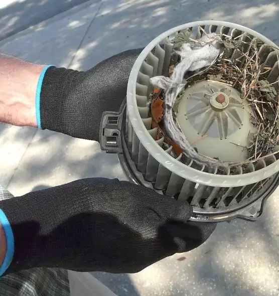 About Air Duct Rat Removal in New Castle, PA