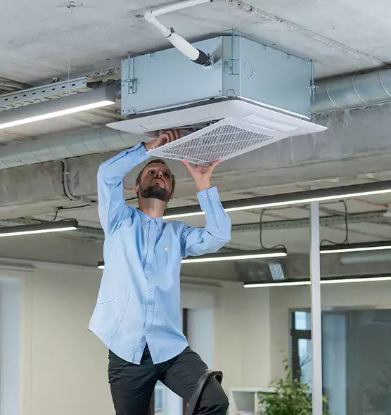 Advanced Rodent Droppings In Vents in New Castle, PA