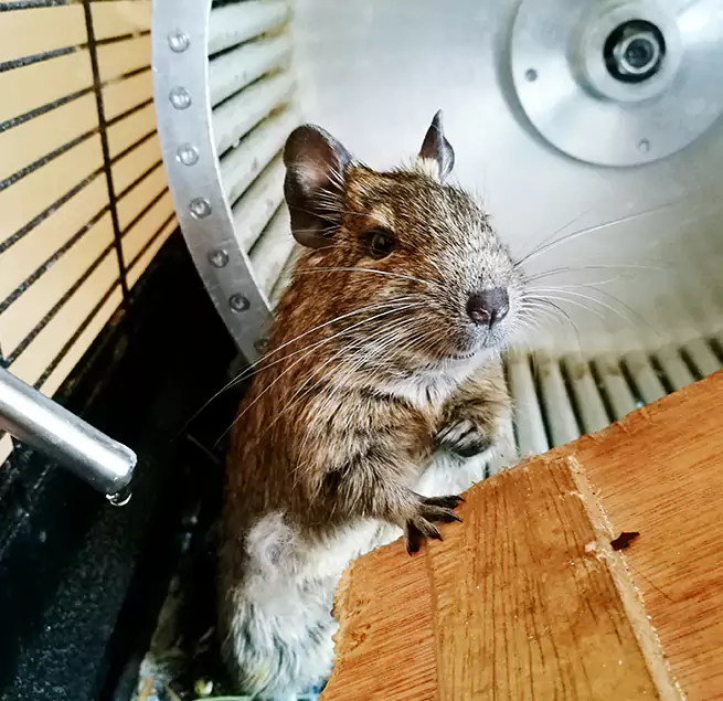 Why Homeowners & Businesses Trust Us New Castle, PA